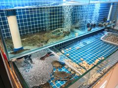 -犇鼎牛潮汕牛肉火锅(新辰里学清路店)