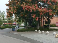 -南京财经大学(仙林校区)