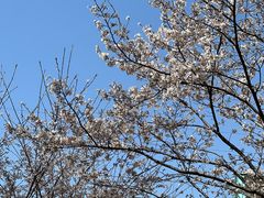 -西北湖绿化广场