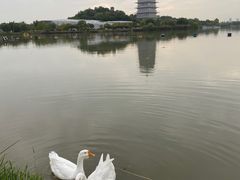 -西安世博园