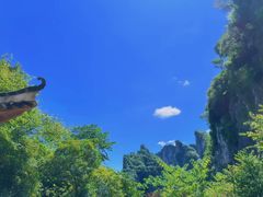 -蝶舞清江·恩施云顶景区(黄鹤峰林)