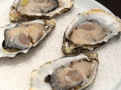 -Oyster Talks 四度蚝法餐厅