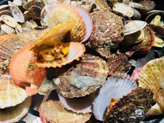 蒸海鲜-77号渔船·蒸海鲜青岛菜(积米崖店)