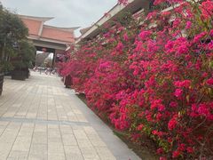 -厦门老院子景区