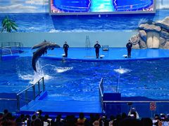 -福州罗源湾海洋世界旅游区
