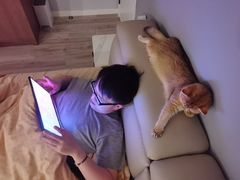 -东方名猫馆·英短金渐层布偶猫舍(环线广场1号楼店)