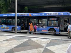 -帕帕拉兹宠物(亚洲旗舰店)