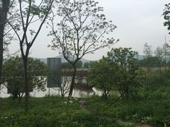 -长兴太湖图影湿地文化园