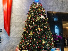-北京希尔顿逸林酒店