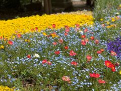 -共青国家森林公园-售票处