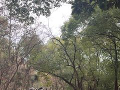 -灵岩山风景区