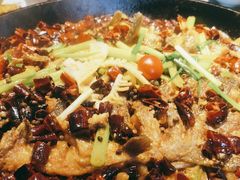 -老板恋上鱼(恒隆广场店)