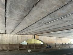 -大亚湾红树林城市湿地公园