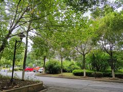 -河海大学(江宁校区)
