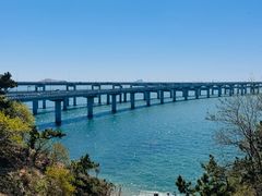 -星海湾跨海大桥