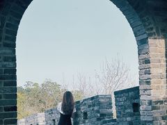 -黄贤森林公园