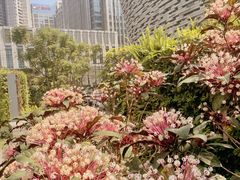 -广州周大福金融中心