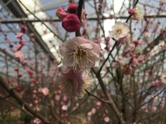 -北京鹫峰国家森林公园