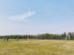 -春花秋色城市公园