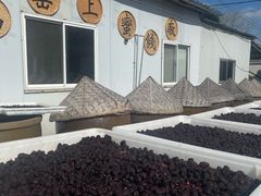 -苏州市吴中区光福窑上花果蜜饯厂