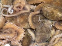 -吉友粥底火锅(方斜路店)