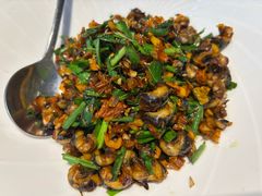 韭菜炒香螺-院里寻菜·精致庭院菜(观沙岭店)