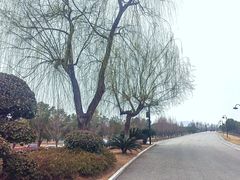 -汉江湾体育公园