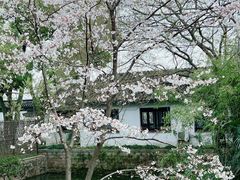 -苏州上方山国家森林公园