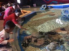 -青岛嘉年华主题乐园