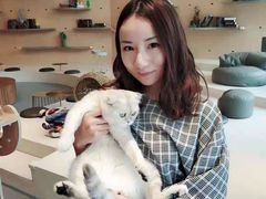 -飞行喵MR PILOT|猫舍·猫咖(静安大融城店)