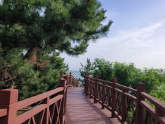 -养马岛旅游度假区