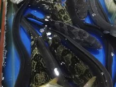 -万尾农贸市场