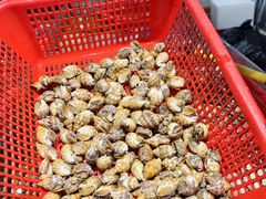 -华威西营里农产品批发市场