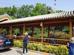 -中国中医科学院望京医院(院本部)