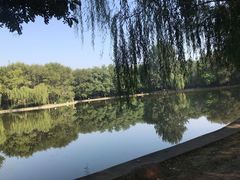 -廊坊市自然公园