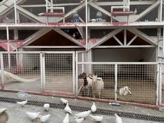 -金庭庄园酒店-停车场