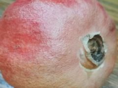 -学习谷日语培训日本留学·多语种外语教学(海淀人大分部)