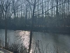 -合肥滨湖国家森林公园