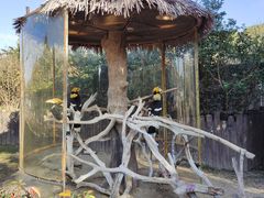 -上海野生动物园