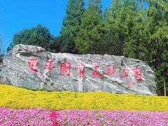 -东平国家森林公园