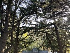 -大连植物园