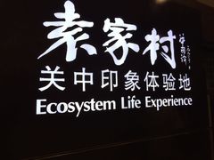 -袁家村关中印象体验地(大唐不夜城店)