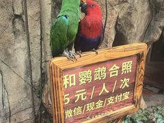 -长鹿旅游休博园