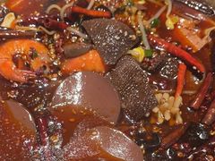 -鸽子侯·家宴·平价海鲜(市图书馆店)