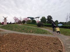 -铁山坪森林公园