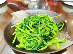 -红星光发煲仔饭(文海店)