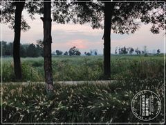 -汉长安城未央宫国家考古遗址公园