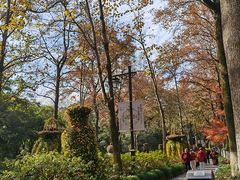 -杭州植物园
