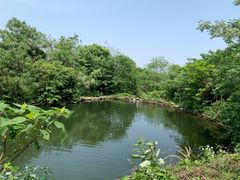-龙坞茶村