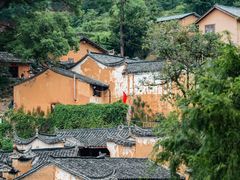 -杨家堂村